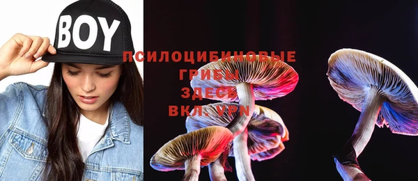 ECSTASY Лабытнанги